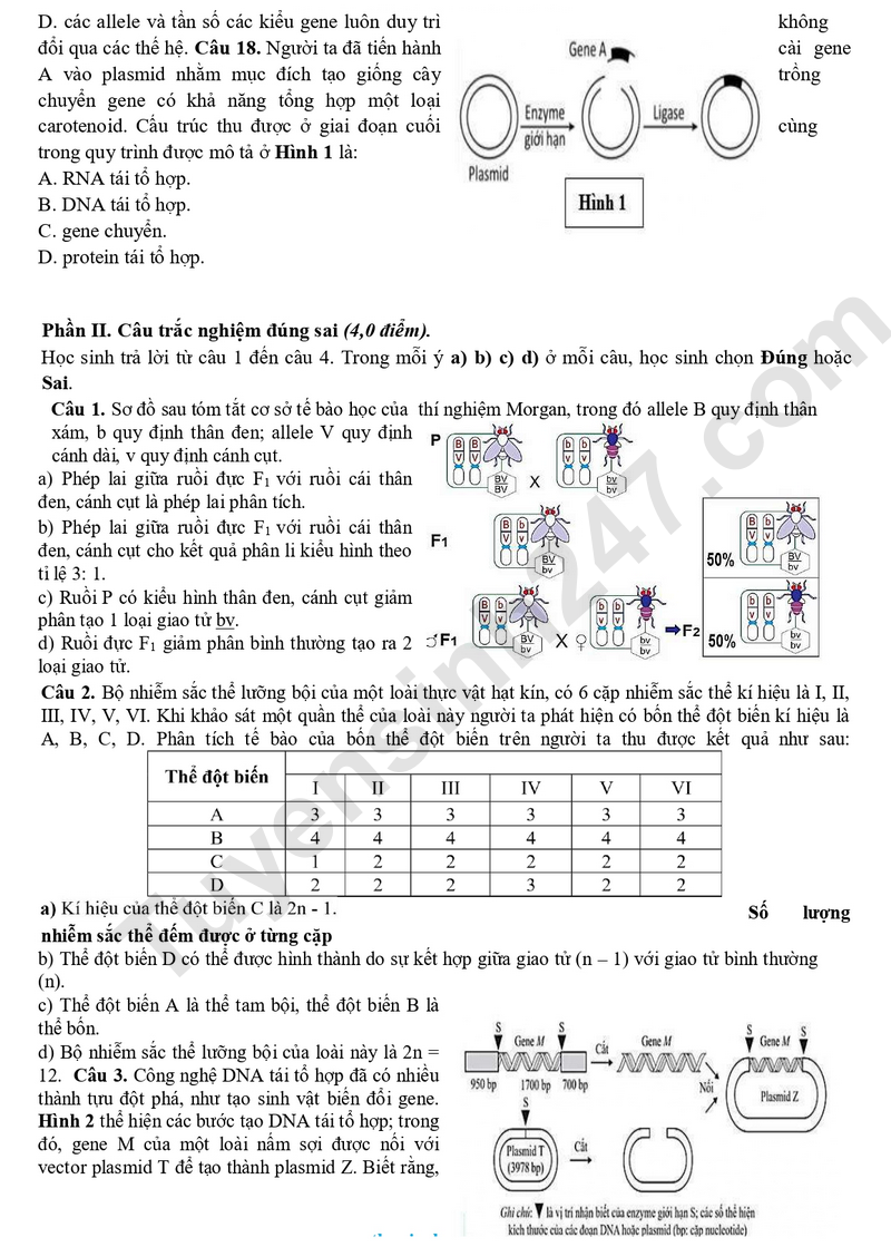 De thi ki 1 lop 12 mon Sinh 2025 - So GD Bac Ninh (Co dap an)