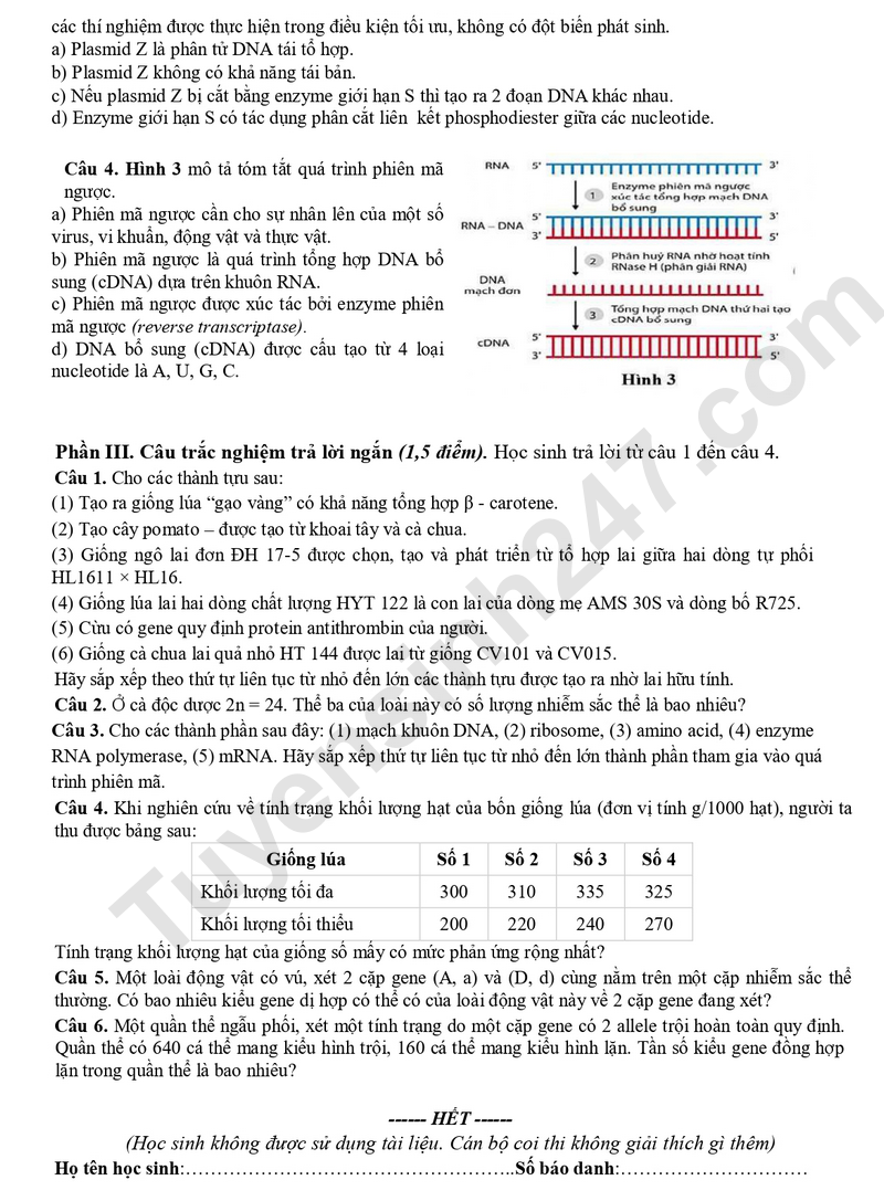 De thi ki 1 lop 12 mon Sinh 2025 - So GD Bac Ninh (Co dap an)
