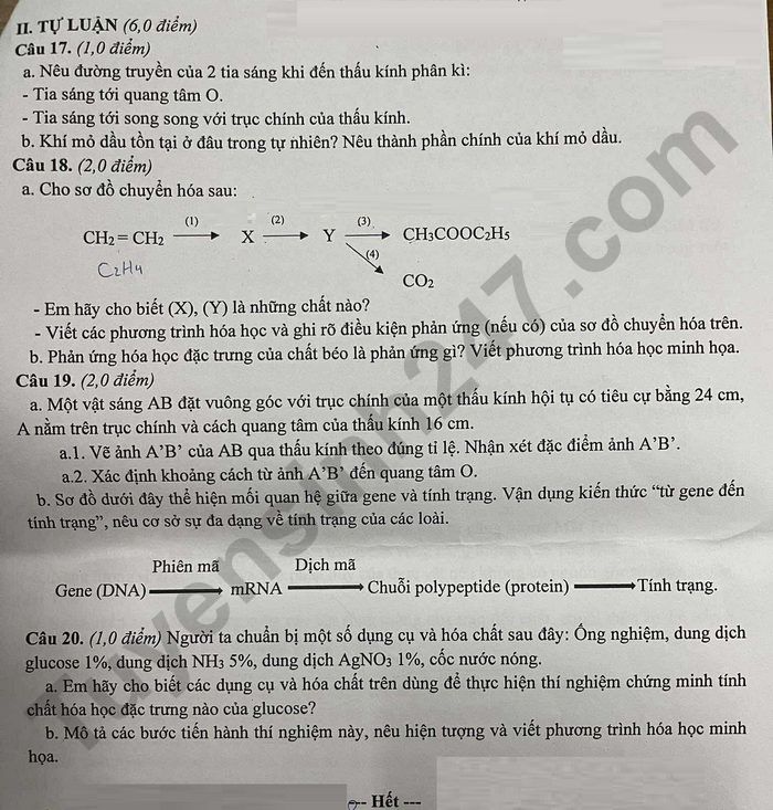 De thi cuoi ki 1 nam 2025 THCS Kim Dong - mon KHTN lop 9