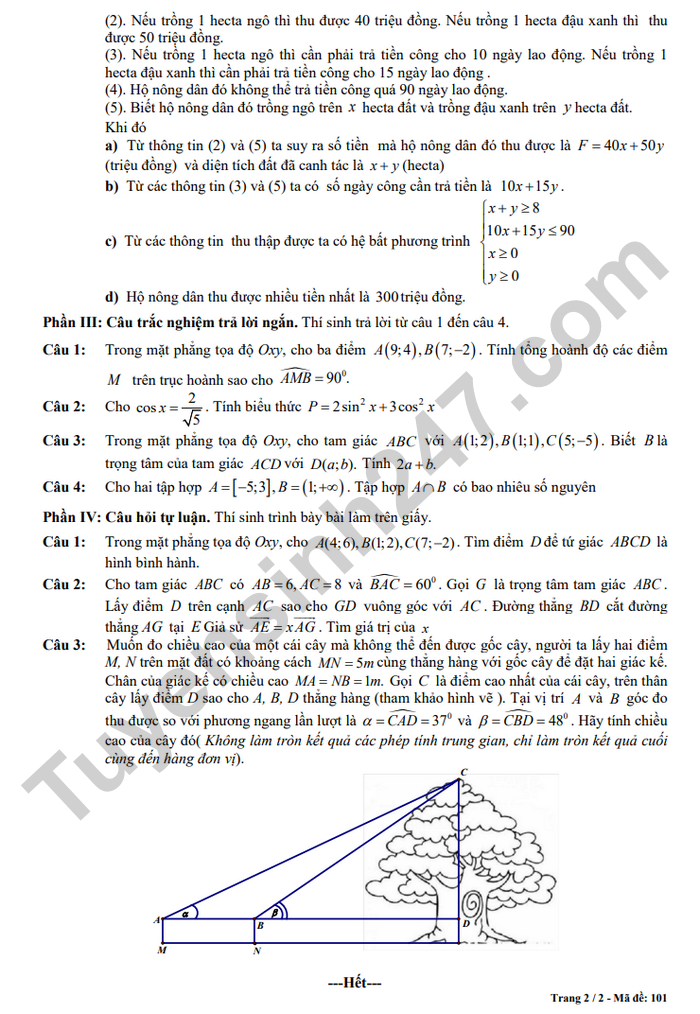 De thi cuoi ki 1 lop 10 mon Toan 2025 - THPT Thach Thanh 2