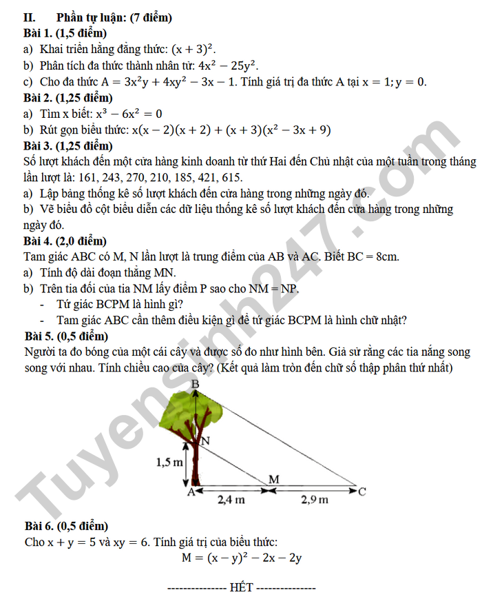 De thi hoc ki 1 nam 2025 THCS Tran Quy Cap - mon Toan 8 (co dap an)