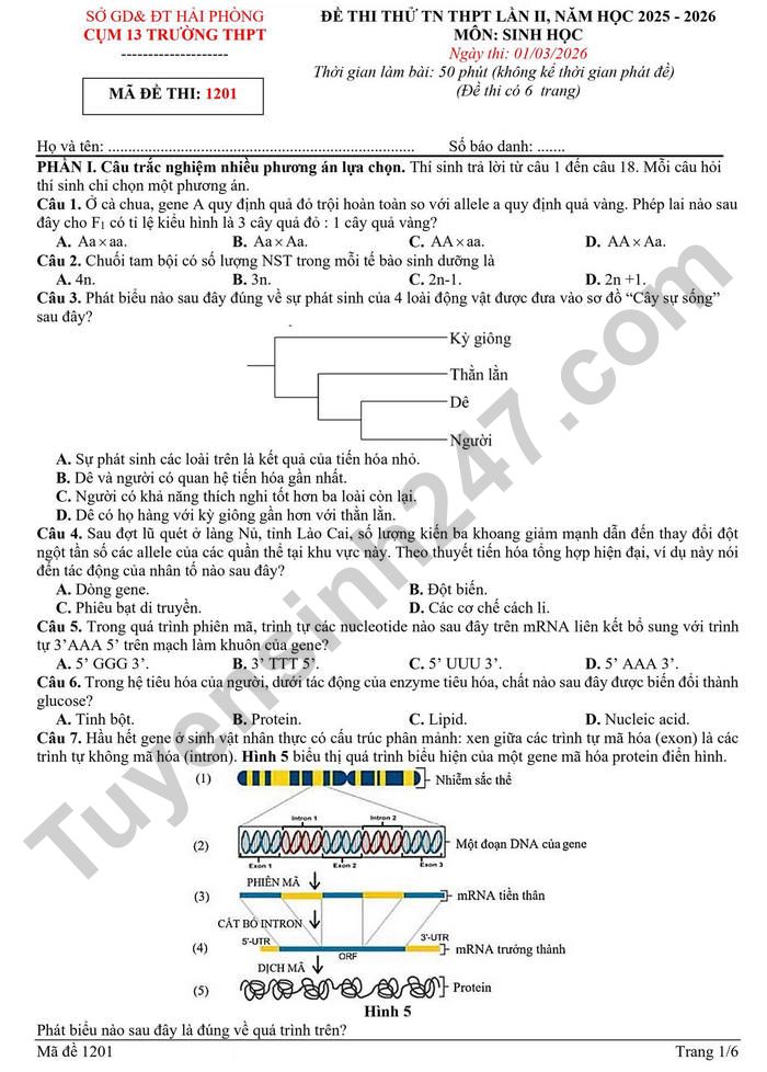 De thi thu tot nghiep THPT 2026 lan 2 mon Sinh - Cum 13 truong THPT Hai Phong
