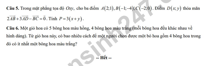 De giua hoc ki 2 Toan 10 truong THPT Mac Dinh Chi (Co dap an)