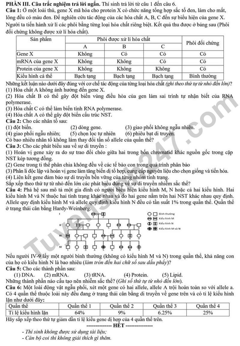 De thi thu tot nghiep THPT 2026 lan 1 mon Sinh hoc So GDDT Hung Yen