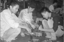 Tìm tương lai ở trường nghề