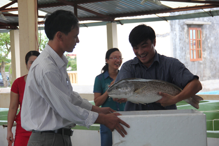Ty phu buoc ra tu truong nghe