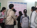 Bí kíp tìm việc làm thêm cho tân sinh viên