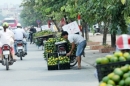 Việt Nam đứng trước nguy cơ trở thành \