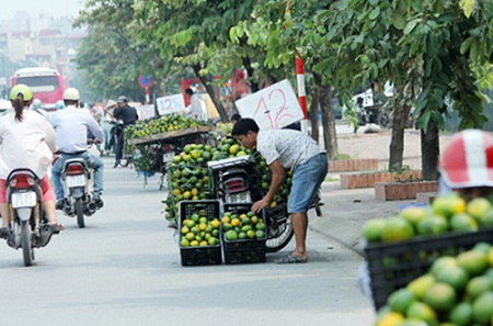 Viet Nam dung truoc nguy co tro thanh \
