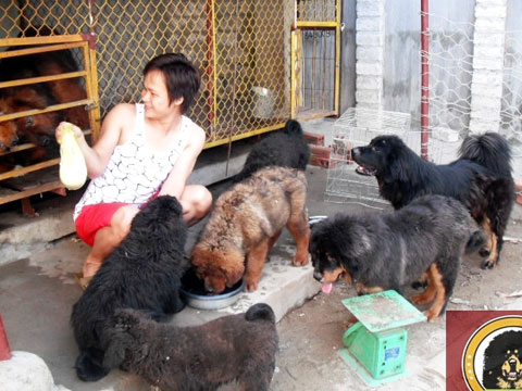 8X kinh doanh trai cho Ngao Tang bac ty