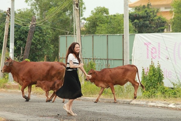 Bảo Anh đang hẹn hò Trương Thế Vinh thì bị... bò đuổi 3