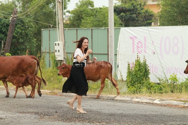 Bảo Anh đang hẹn hò Trương Thế Vinh thì bị... bò đuổi 4