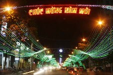 Tet 2013: TPHCM trang tri duong den tu san bay TSN den giao lo Nam Ky Khoi Nghia – Le Loi