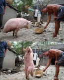 10 ảnh hot trong ngày trên Facebook ngày 26/11/2012