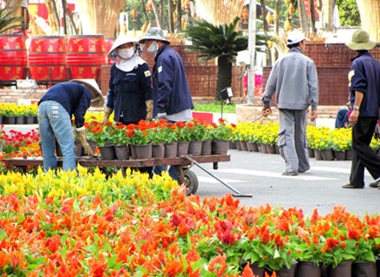Duong hoa Nguyen Hue Tet  2013- tet Quy Ty