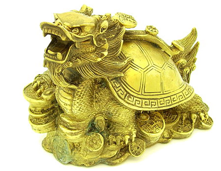 Rùa đầu rồng.