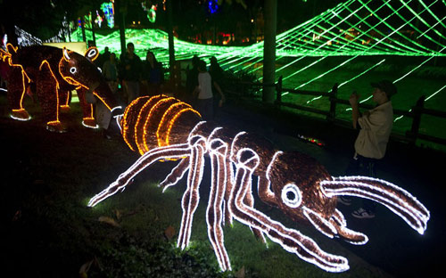 Ngam cay thong Noel 2012 bang vang o Nhat Ban