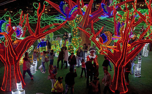 Ngam cay thong Noel 2012 bang vang o Nhat Ban