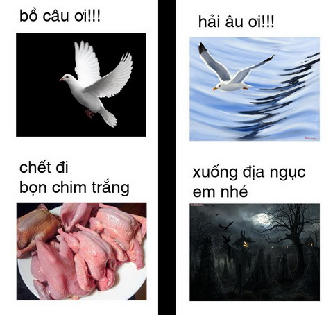 Anh che ngay tan the 21/12/2012 cuc hay
