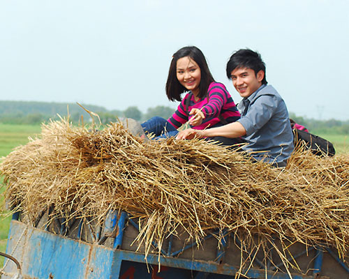 Phim tet 2013: Dan ca si Viet dong loat lan san dien anh