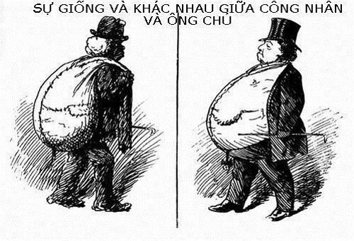10 anh hot trong ngay tren Facebook ngay 04/01/2013