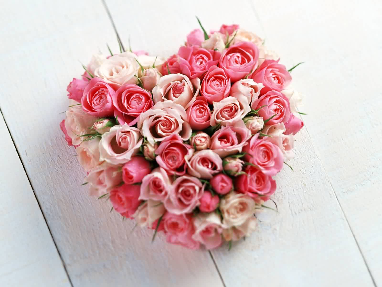 Tin nhan hay, hai huoc cho ngay Valentine