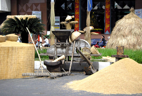 Duong hoa Nguyen Hue 2013: Ky niem 10 nam mot net van hoa Tet cua Sai Gon