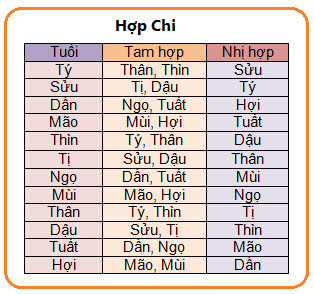 Chon tuoi xong nha dau nam 2013 Quy Ty theo Can Chi Menh
