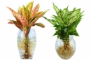 Gợi ý bạn những món quà dễ chọn cho ngày 8/3