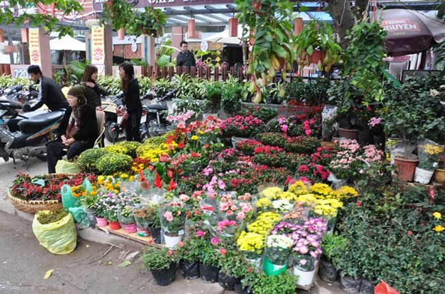 Thi truong hoa Tet Ha Noi van am dam nhung ngay cuoi nam