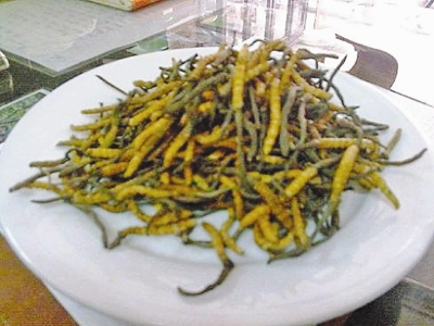 Đông trùng hạ thảo khô