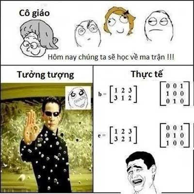 Muon kieu anh che hoc duong