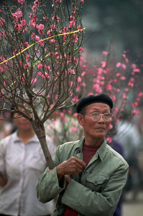 Cư dân mạng 