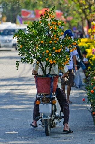 Cư dân mạng 
