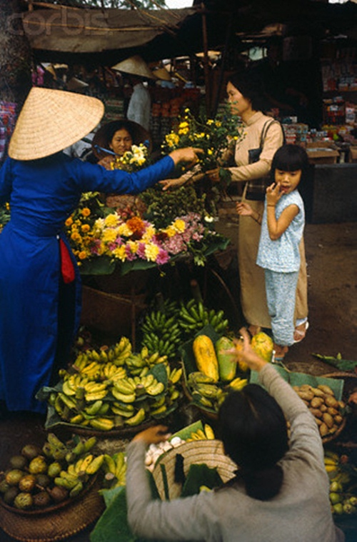 Cư dân mạng 