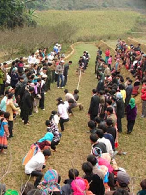 Cư dân mạng 