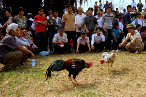 Cư dân mạng 