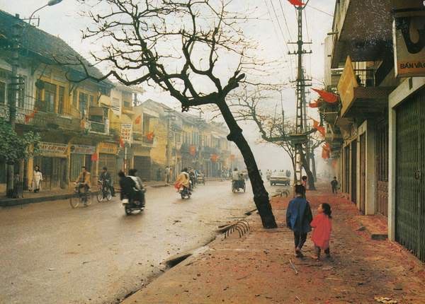 Cư dân mạng 