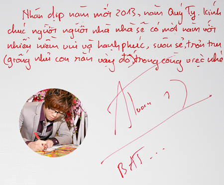 Sao Viet  viet thiep mung xuan 2013