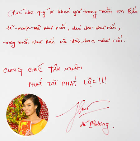 Sao Viet  viet thiep mung xuan 2013