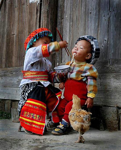 Gà vịt chăm nhau, khoảnh khắc đẹp khiến ta ấm lòng.Ảnh Mai Thanh Hải