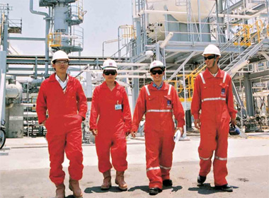 Nghe hot nam 2013: Duoc pham va Dau khi len ngoi