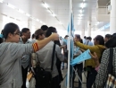 Cử nhân thất nghiệp vì \