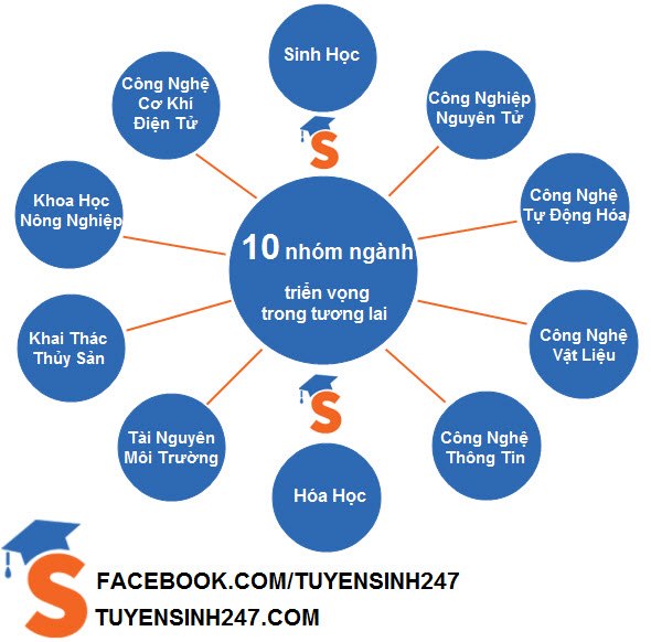 Tuyen sinh 2013: 10 nhom nganh trien vong trong tuong lai