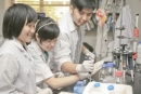 Những điều cần biết về 88Kinh tải ứng dụng về điện thoại Trung cấp chuyên nghiệp (TCCN) năm 2013