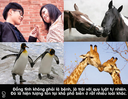 Bo anh “Dong tinh – 10 dieu muon noi\