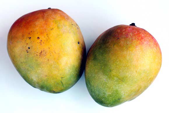 F5 sinh tố xoài thơm ngon hấp dẫn