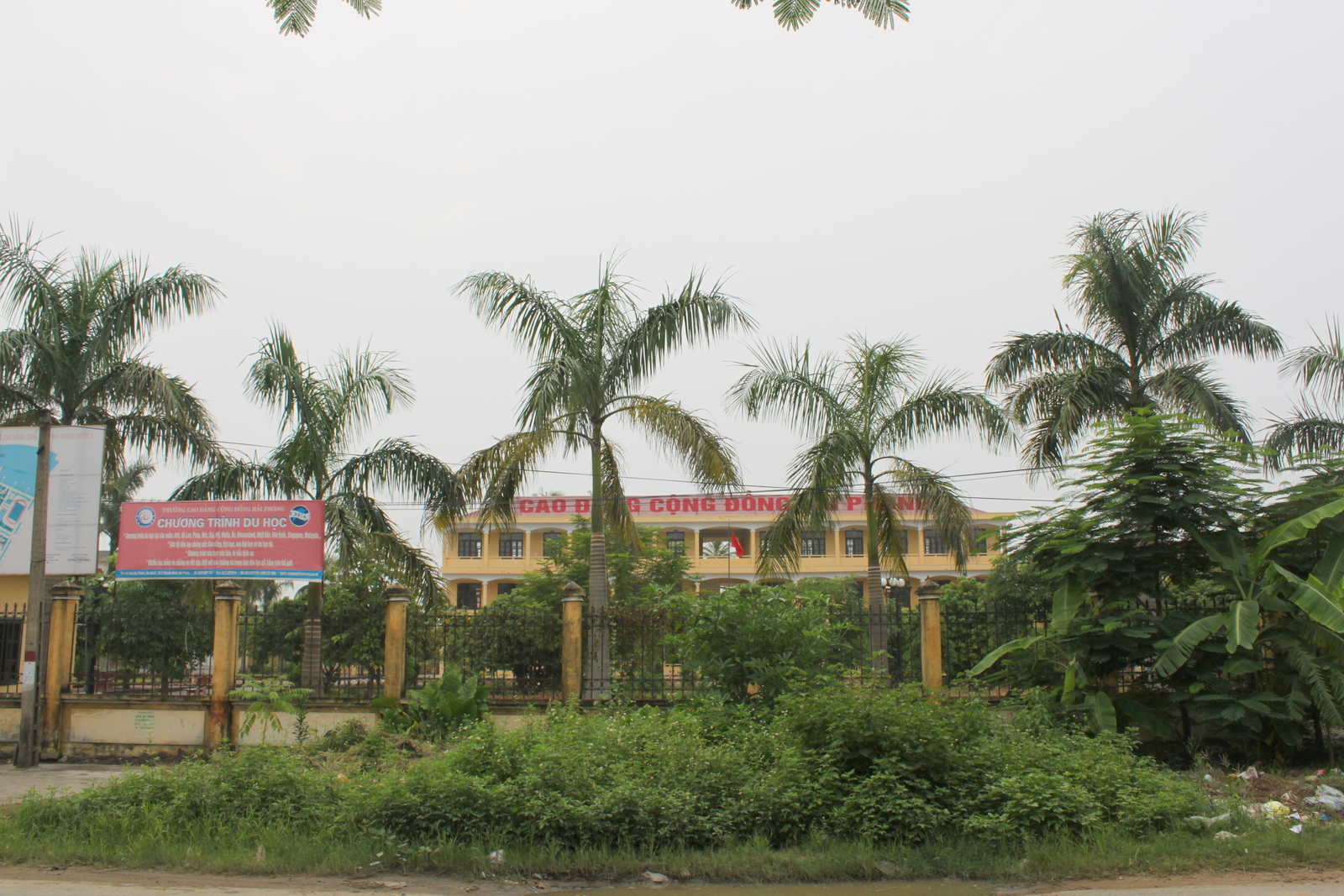 Ty le choi Cao Dang Cong Dong Hai Phong