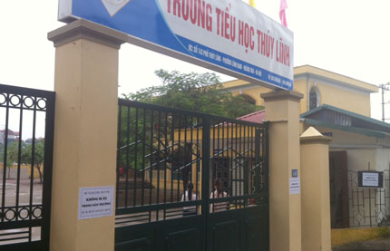 Qua tai heo vang - \