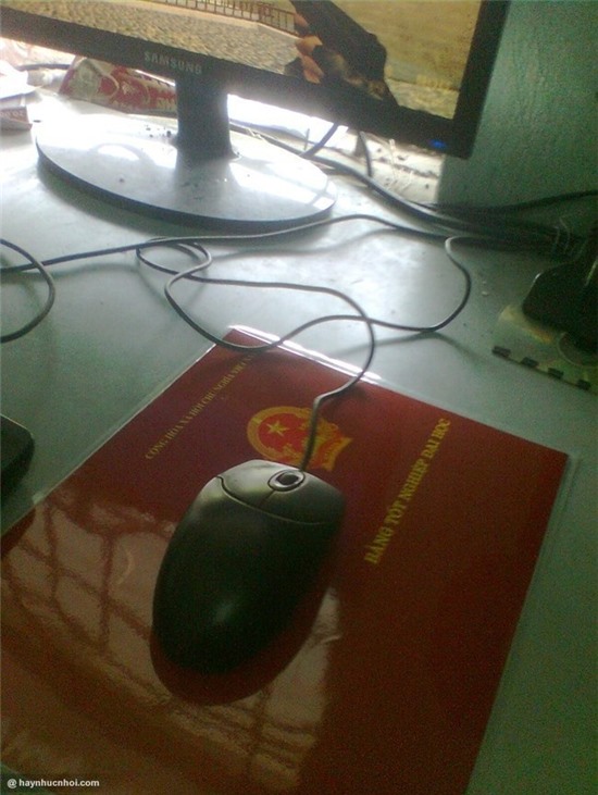 Nhat quy nhi ma, thu ba hoc tro